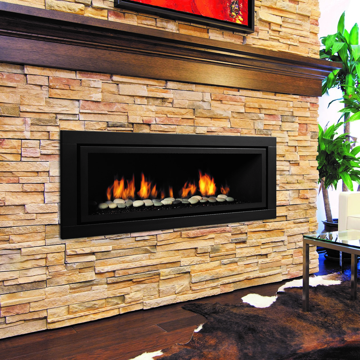 Horizon® HZ54E Gas Fireplace