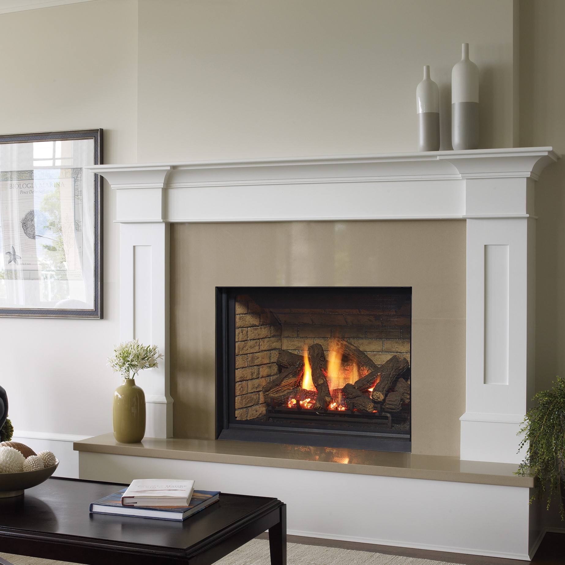 Bellavista B41XTCE Gas Fireplace